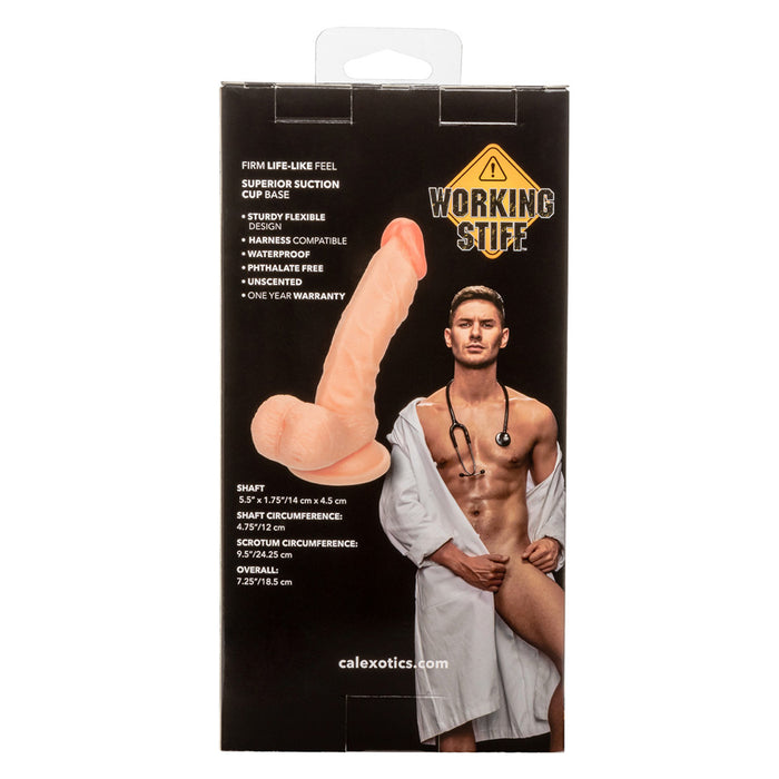 CalExotics SE-0272-05-3 Working Stiff The Doctor Curved Realistic Dildo Package Back