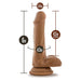 Silicone Willy's Brown 6 Inch Realistic Dildo with Balls and Harness-Compatible Suction Cup Base - Mocha - Measurements